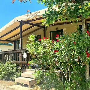  Chalet Comfortabele Familie Met Veranda Incl Airco Dichtbij Zee!